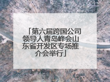 第六届跨国公司领导人青岛峰会山东省开发区专场推介会举行
